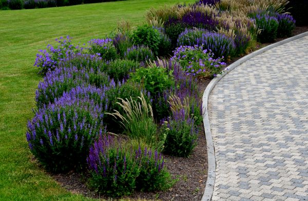 Sidewalk Curb Installation in Lakeville