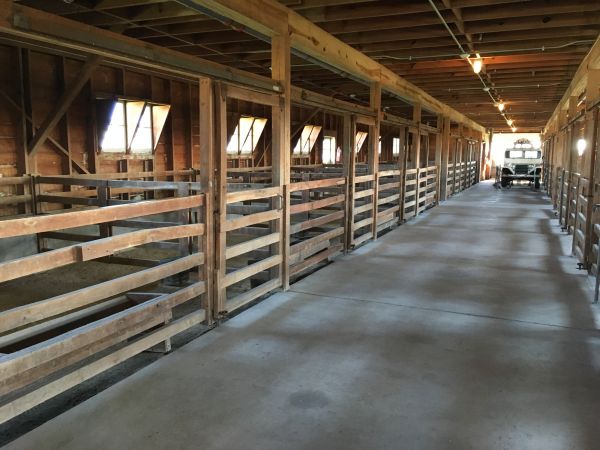 Barn Floor Pouring in Lakeville