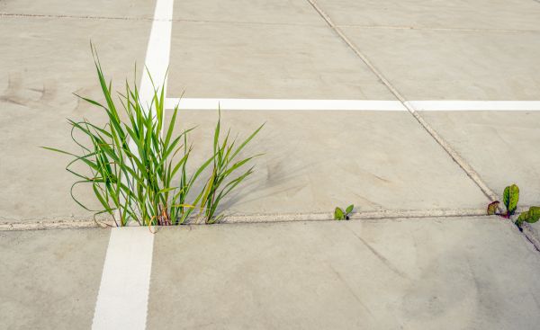 Concrete Parking Installation in Lakeville