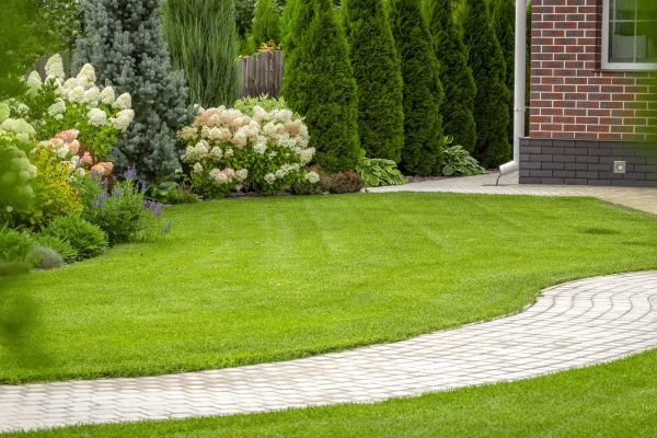 Landscape Walkway Installation in Lakeville